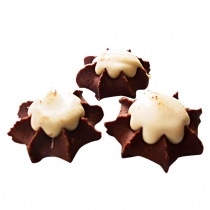 CEPUMI SALDIE LV UN KO MORĪŠI (590085) JN