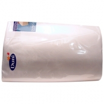 GALDAUTS DUNISILK 138x220CM SUDRABS (154753)