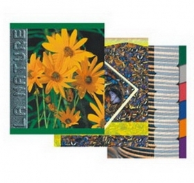 KLADE KRAUKLĪTIS A4 / 96 lapas / RŪTIŅU, TON.IEKŠLAPAS