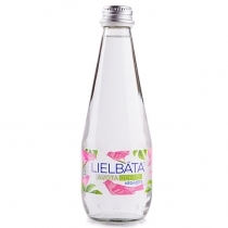 AVOTA ŪDENS LIELBĀTA NEGĀZĒTS 0.33L, STIKLA PUDELĒ (121577) +Depozīta TARA JN